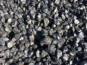 茂名塊煤市場概況與水產品供應的區(qū)域經濟關聯(lián)